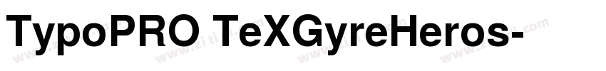 TypoPRO TeXGyreHeros字体转换